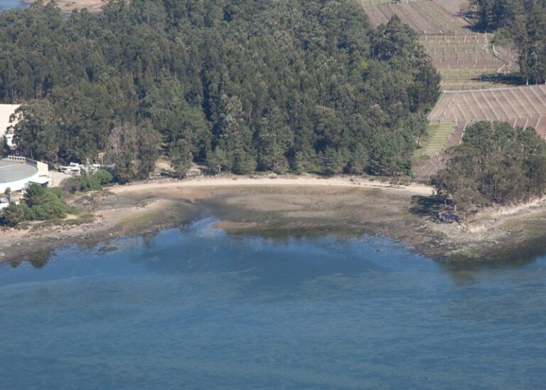 Playa Ganchino