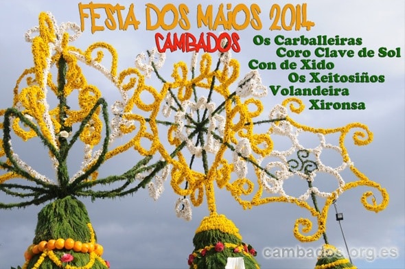 cartel de la festa dos maios