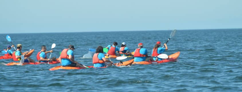 Ruta en Kayak por Cambados