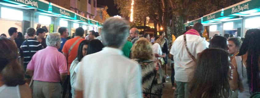 Programa Fiesta del Albariño